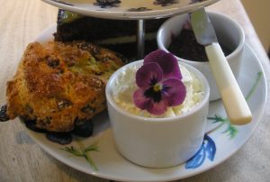 Cream tea at the Birdhouse tearoom, Nr Jedburgh, Scottish Borders