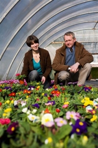 Newton Don plant nursery near Kelso