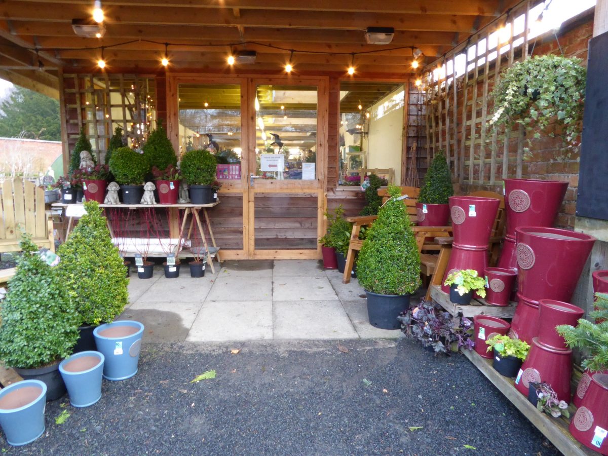 Woodside Garden Plant Centre & Birdhouse Tearoom Nr Jedburgh