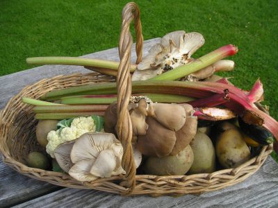 Rhubarb features on the menu
