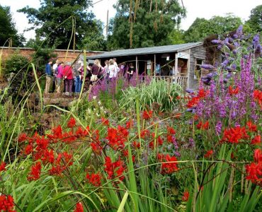 The wildlife and wellbeing garden at woodside