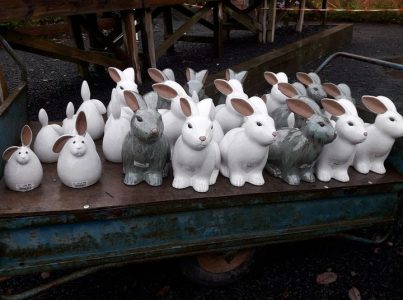 model rabbits