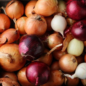 Selection of onion varieties