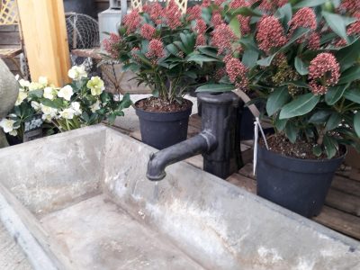 water trough and pump