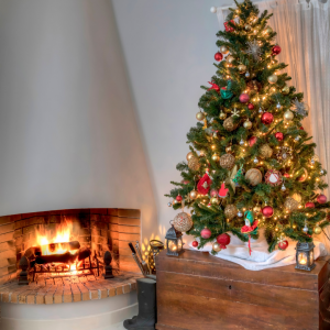 Winter fuel - a log fire next to a Christmas Tree